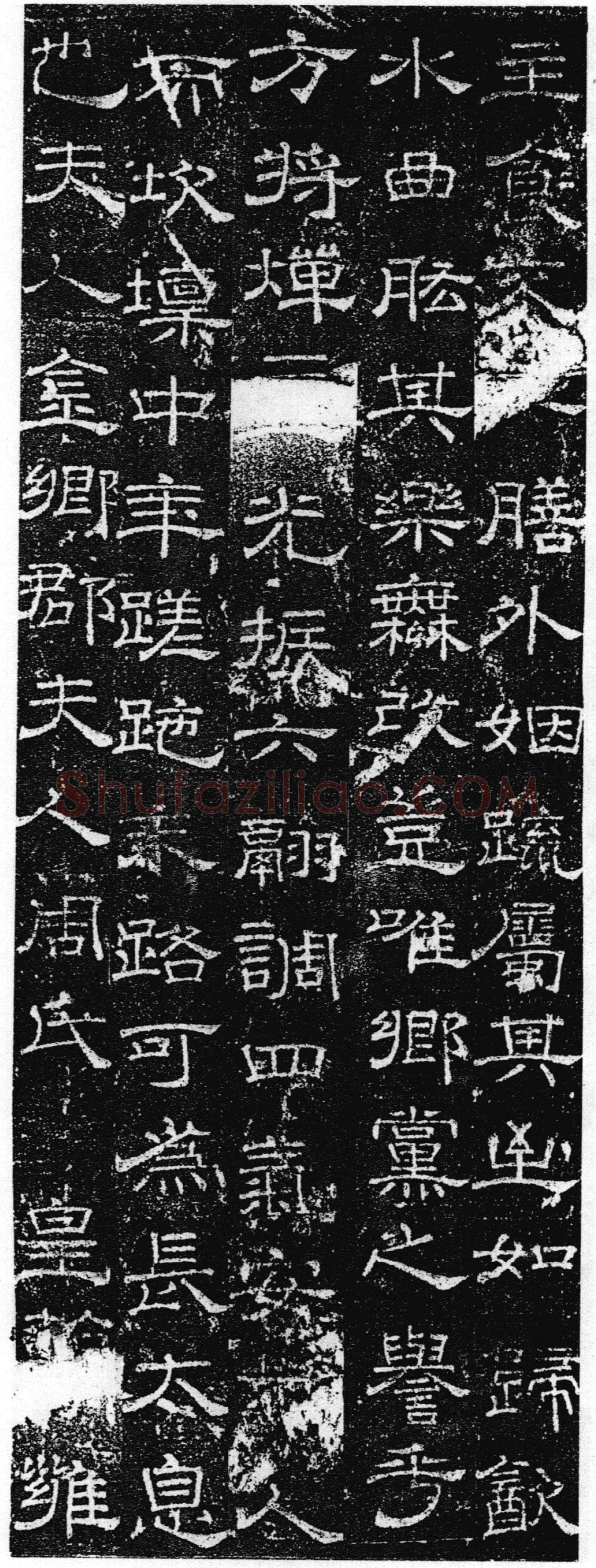 徐浩《张庭珪墓志》隶书