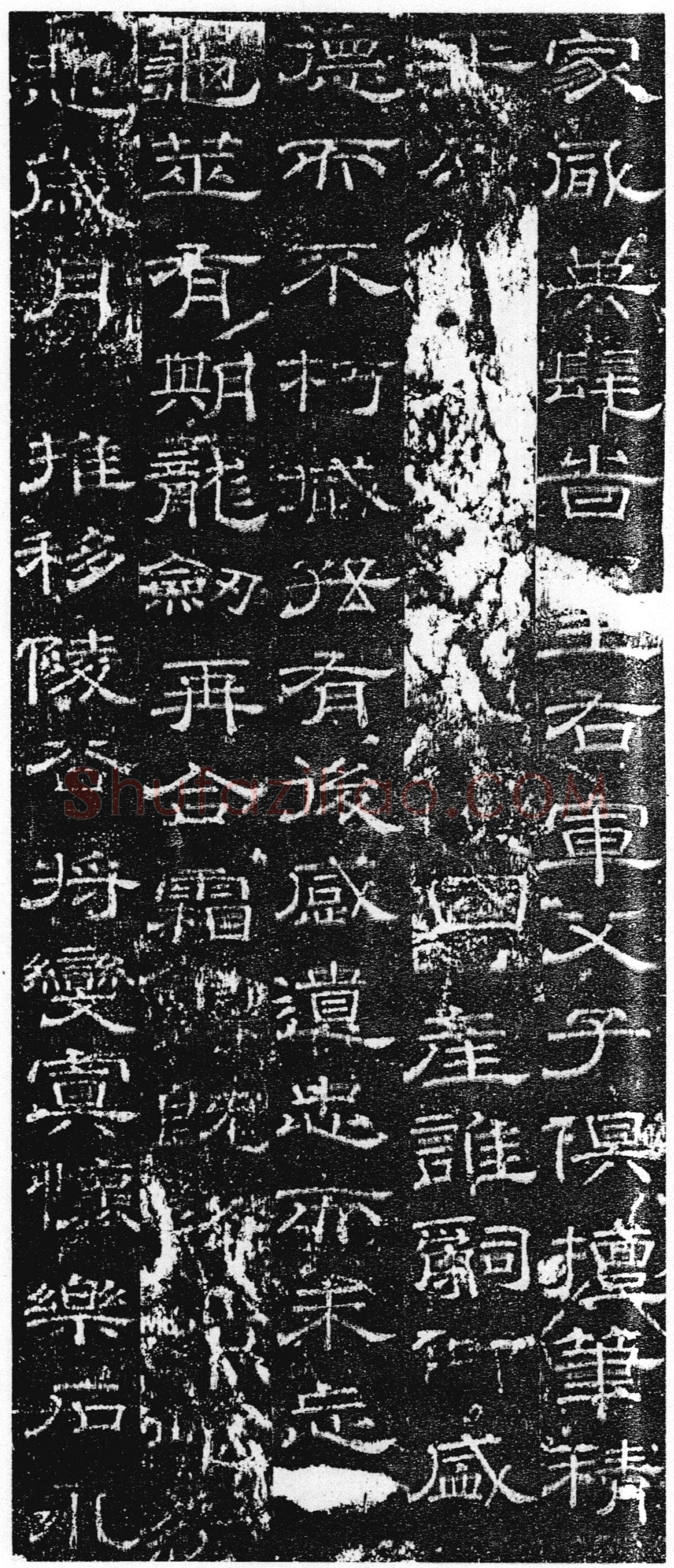 徐浩《张庭珪墓志》隶书