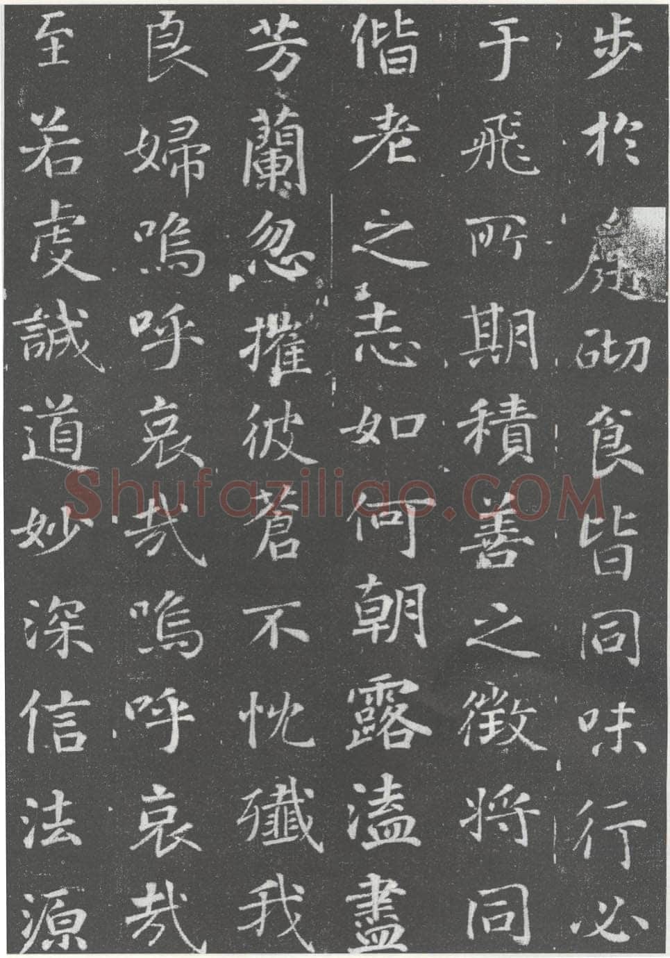 徐浩《李岘妻独孤峻墓志》