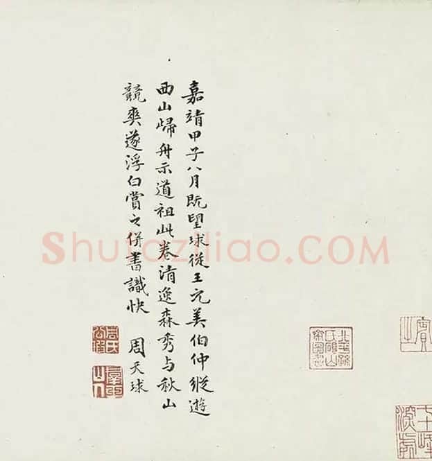 薛绍彭行书《杂书卷》_08