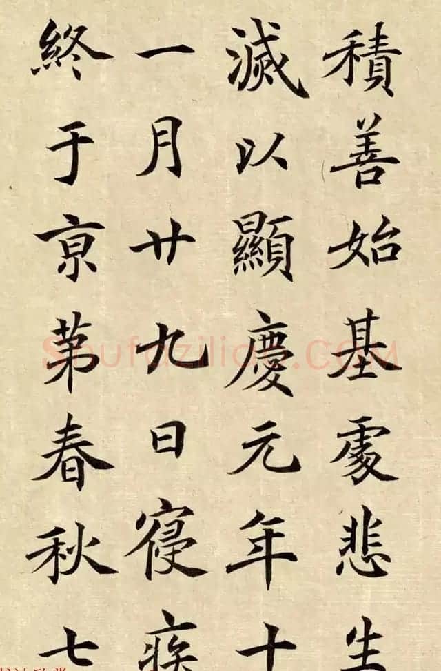 张沧楷书临大唐王居士砖塔铭 | 书法作品欣赏