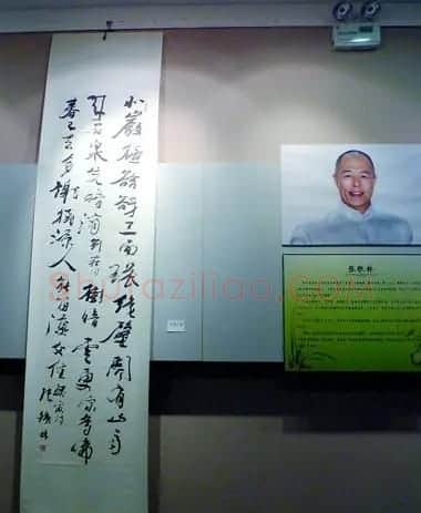 大明星们的书法 | 书法作品赏析