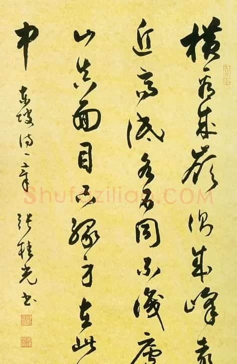 张桂光书法作品欣赏 | 书法作品精选