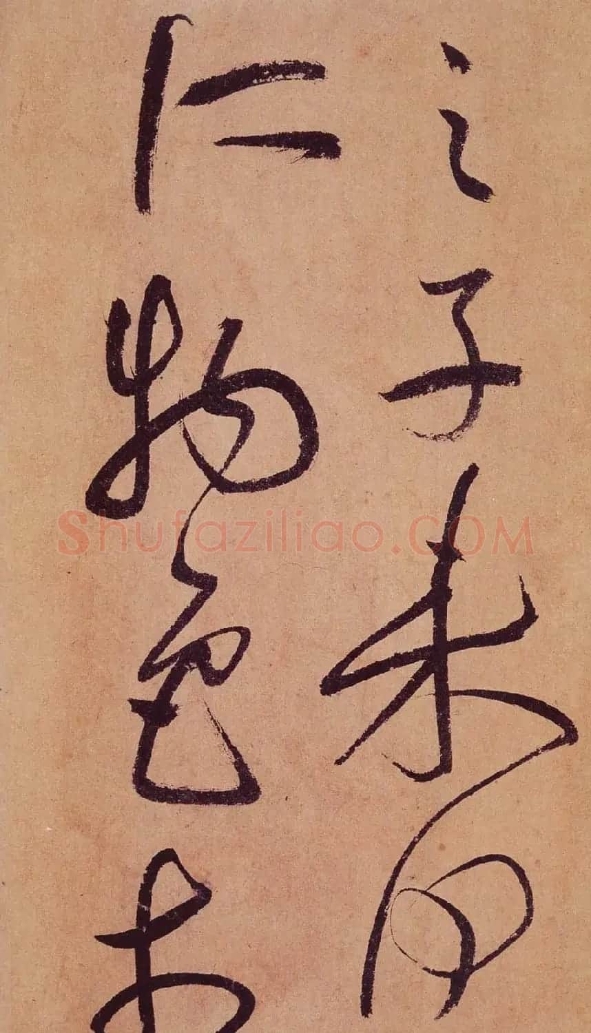 祝允明草书欣赏《桃源图诗册》 | 书法名家作品鉴赏