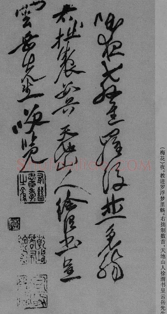 徐渭草书作品《月下梨花》 | 名家书法作品精选