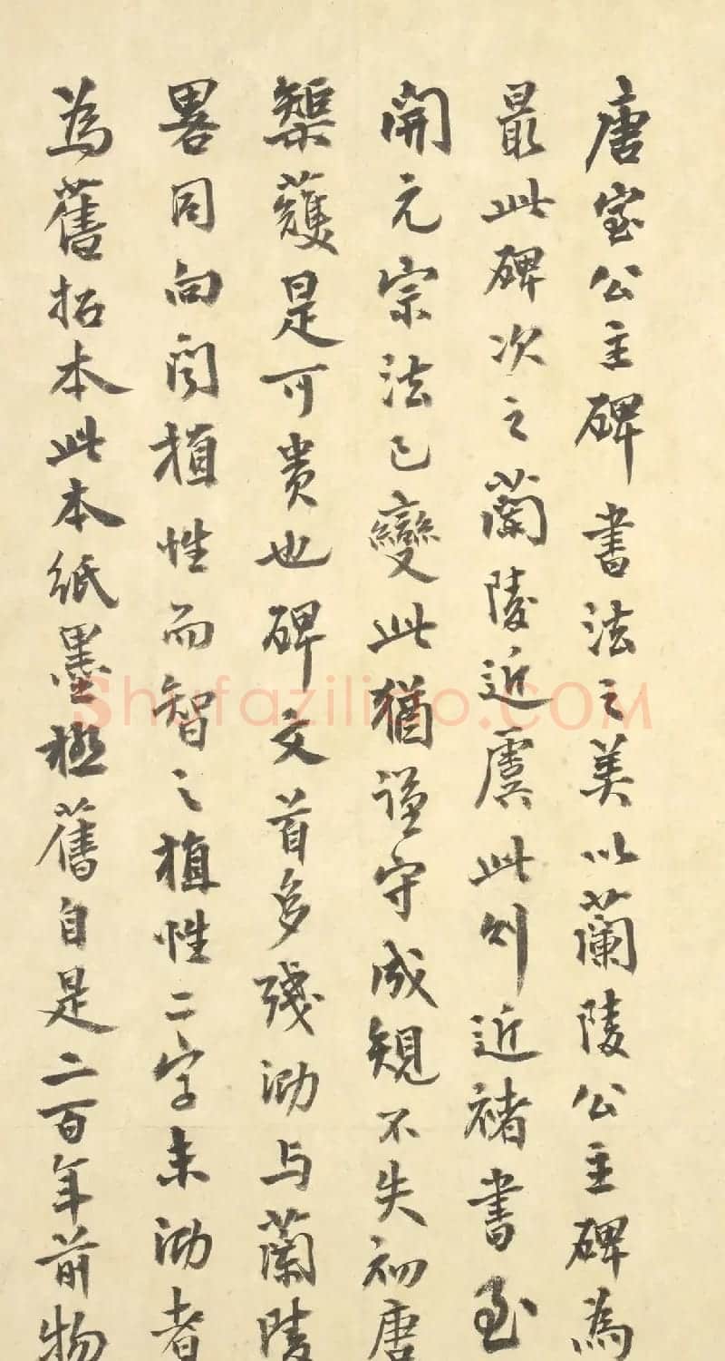 唐代郑聪书法《代国长公主碑》 | 书法碑帖