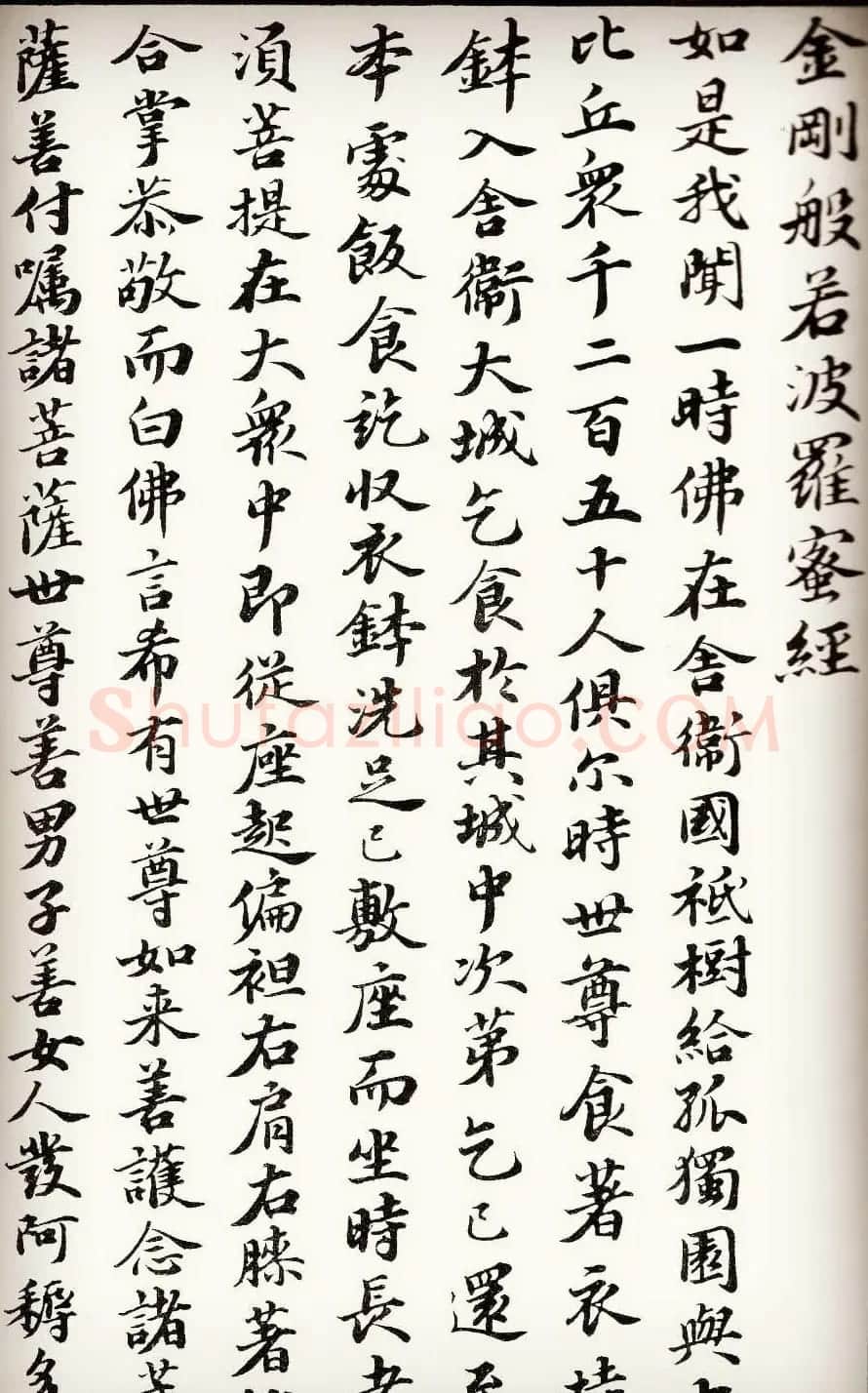 苏轼行楷书法欣赏《金刚经》全本 | 毛笔书法作品