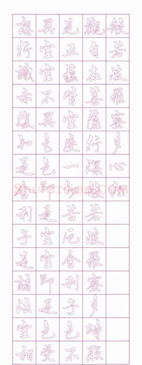 苏泽立心经书法行书红模子 | 软笔行书字帖