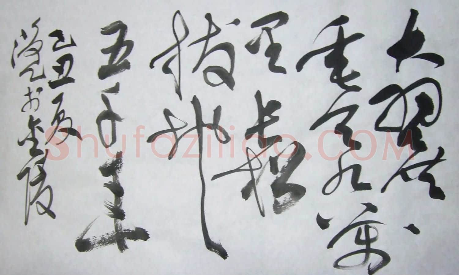江苏阎揆草书书法作品欣赏 | 软笔书法作品