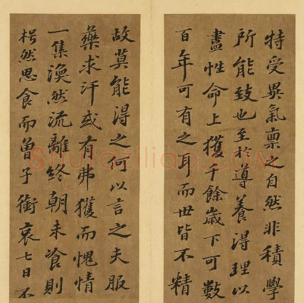 苏轼行书养生论真迹册 | 软笔书法作品