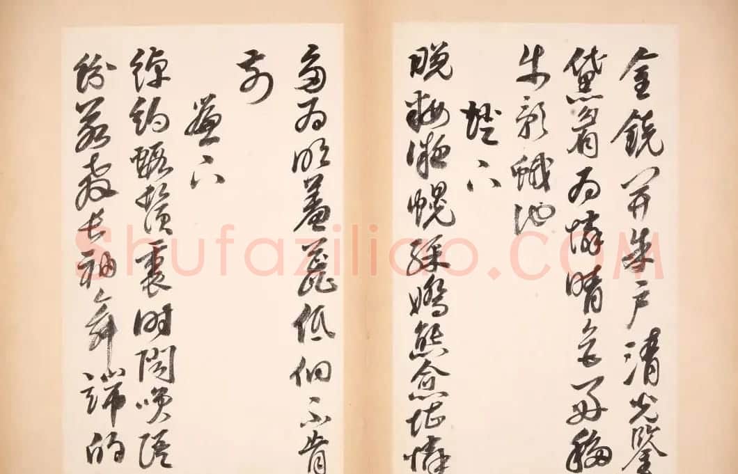 明代女书画家邢慈静草书欣赏 | 名家书法作品赏析