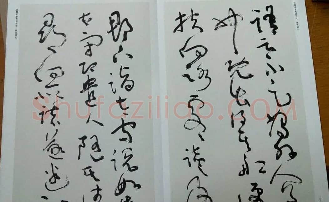 沈鹏草书欣赏《桃花源记》 | 书法作品赏析