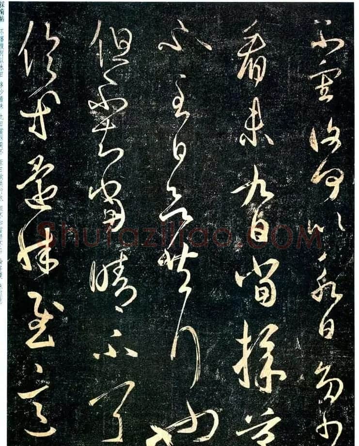 王羲之草书作品欣赏《采菊帖》四种 | 名家书法作品赏析