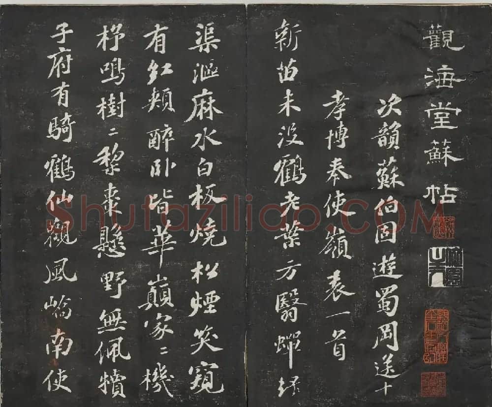 宋代苏轼法帖《观海堂苏帖》册 | 软笔书法作品