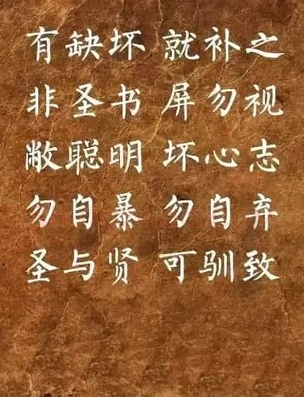 柳体楷书欣赏《李毓秀弟子规》 | 书法作品鉴赏