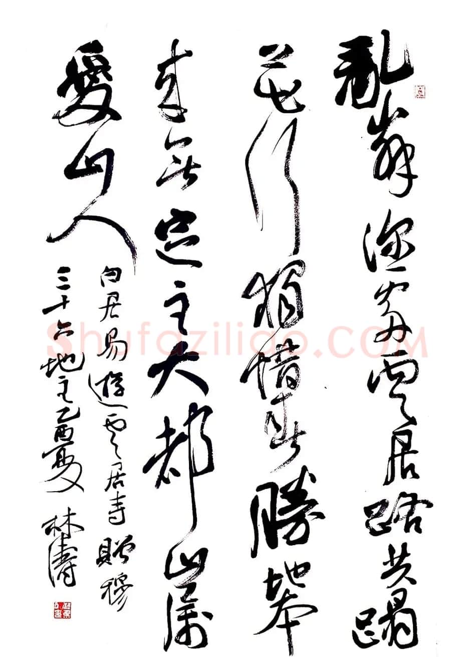 甘肃书协秘书长林涛行草书欣赏 | 书法作品欣赏