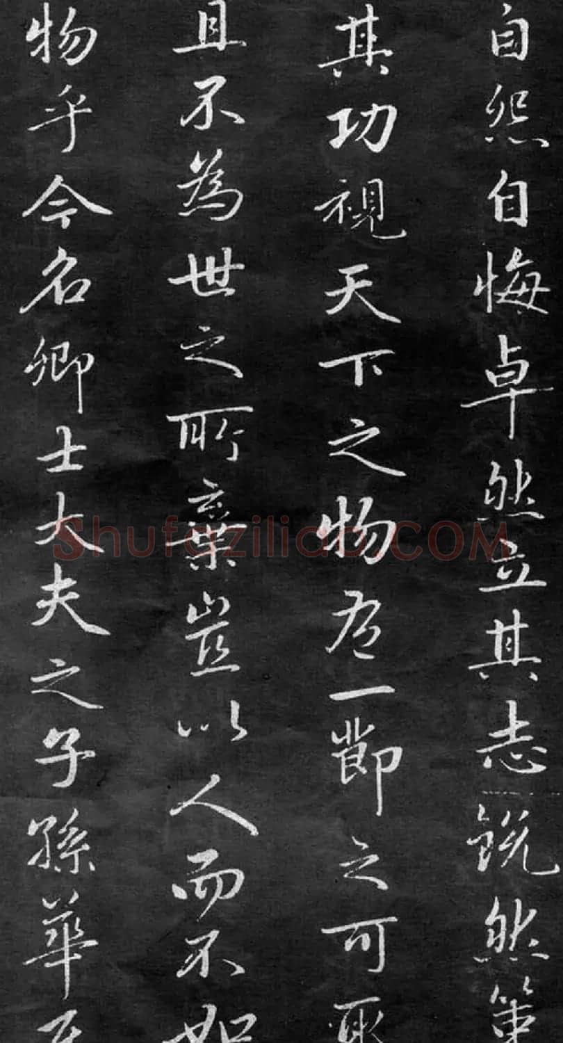 赵孟頫行书欣赏《不自弃文》大图 | 书法名家作品鉴赏
