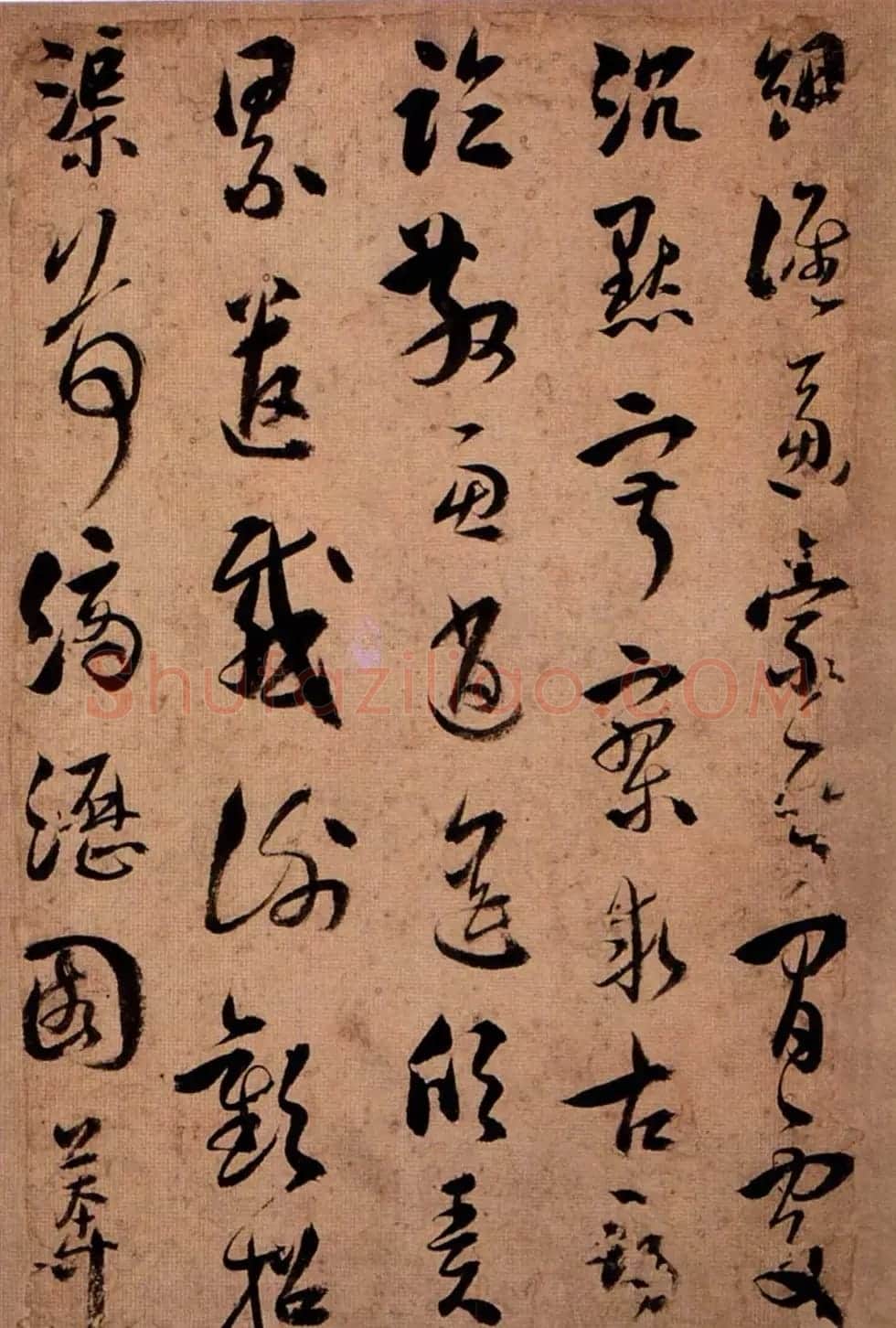 王应华草书欣赏《千字文册》 | 毛笔草书字帖