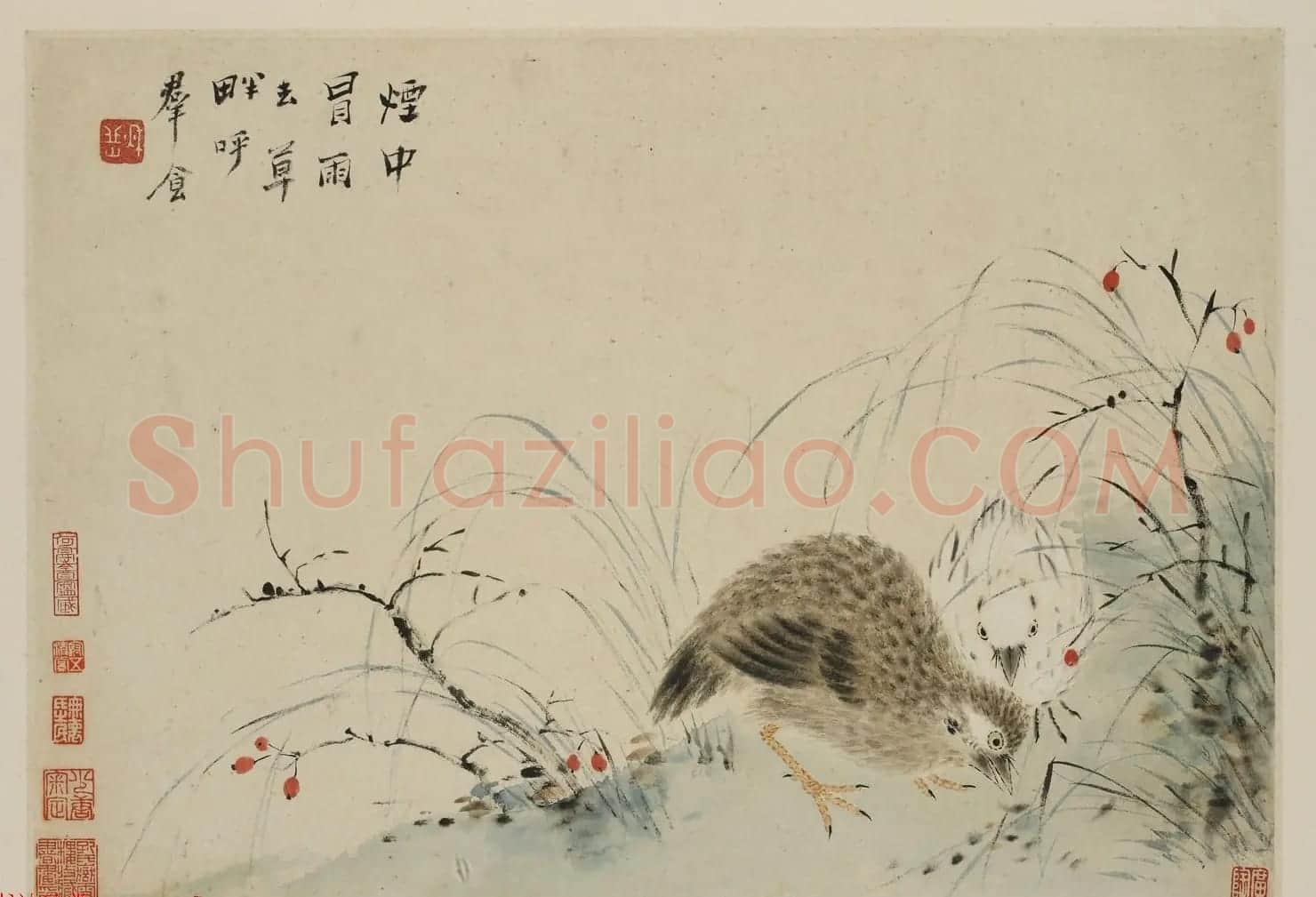 华喦绘画作品《新罗山人花鸟册》美国弗利尔美术馆藏 | 传世书法作品赏析