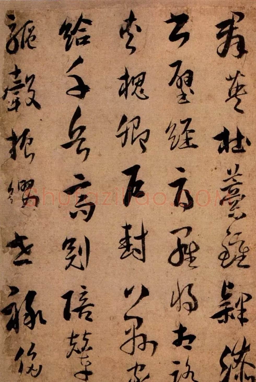 王应华草书欣赏《千字文册》 | 毛笔草书字帖