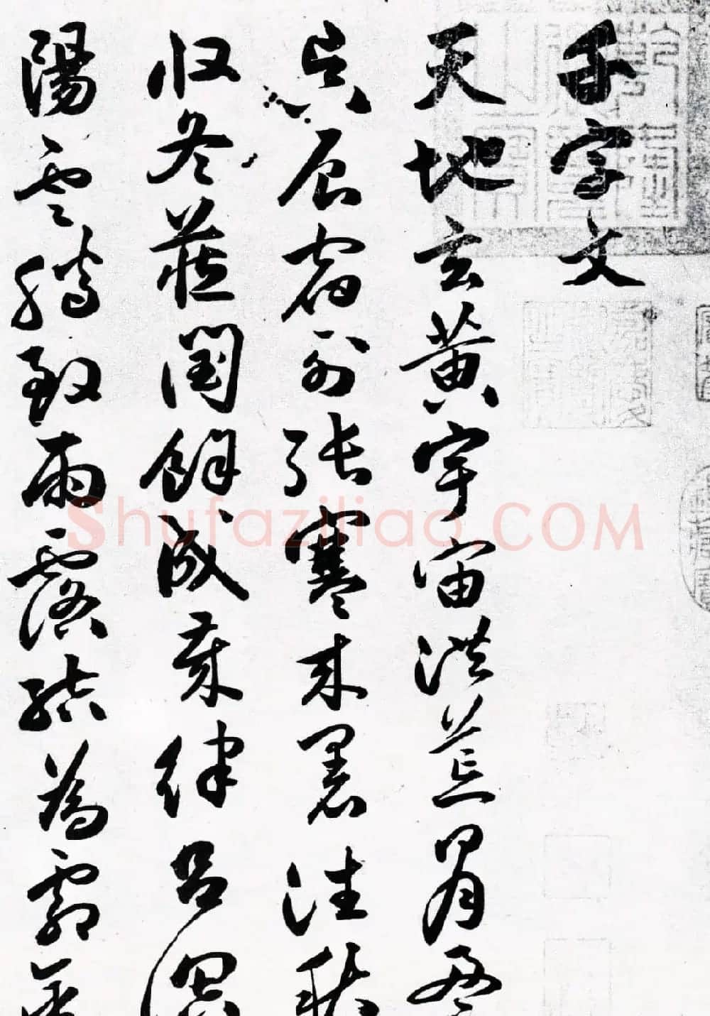 明代草书第一人祝允明《草书千字文卷》两种 | 书法长卷
