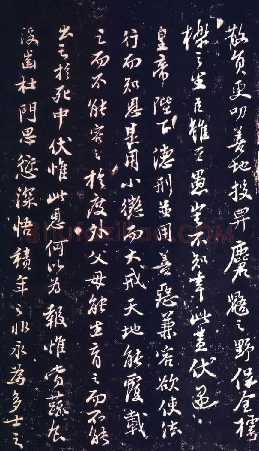苏轼行书欣赏《到黄州谢表》 | 毛笔书法作品