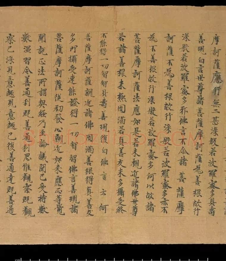 大般若波罗蜜多经卷第四百六十四 俄罗斯藏本 | 敦煌写经欣赏