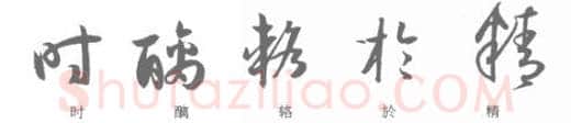草书书法知识,孙过庭《书谱》单字结构分析 以正为宗