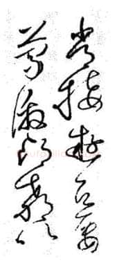 草书书法知识,草书概说和草书的特点