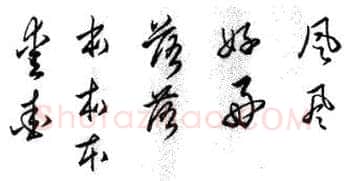 草书书法知识,草书概说和草书的特点