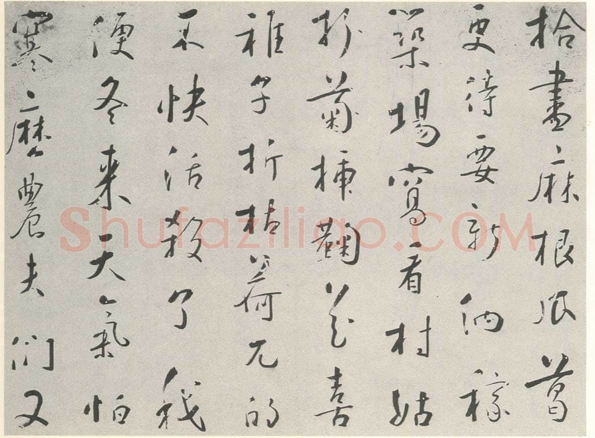 苏珥《行书农家乐、草书录药言句轴、草书录屠隆娑罗馆清言句轴》