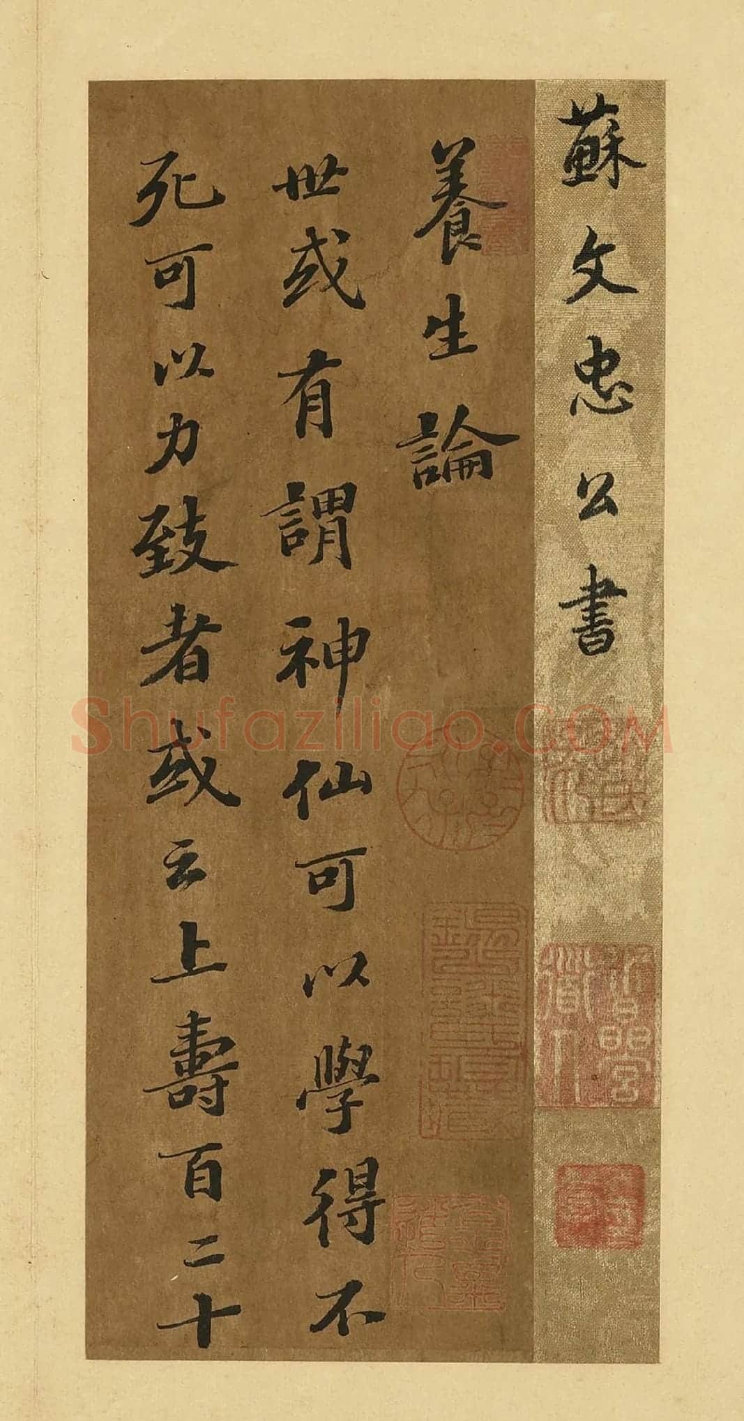 苏轼行楷书《养生论》册页局部-1