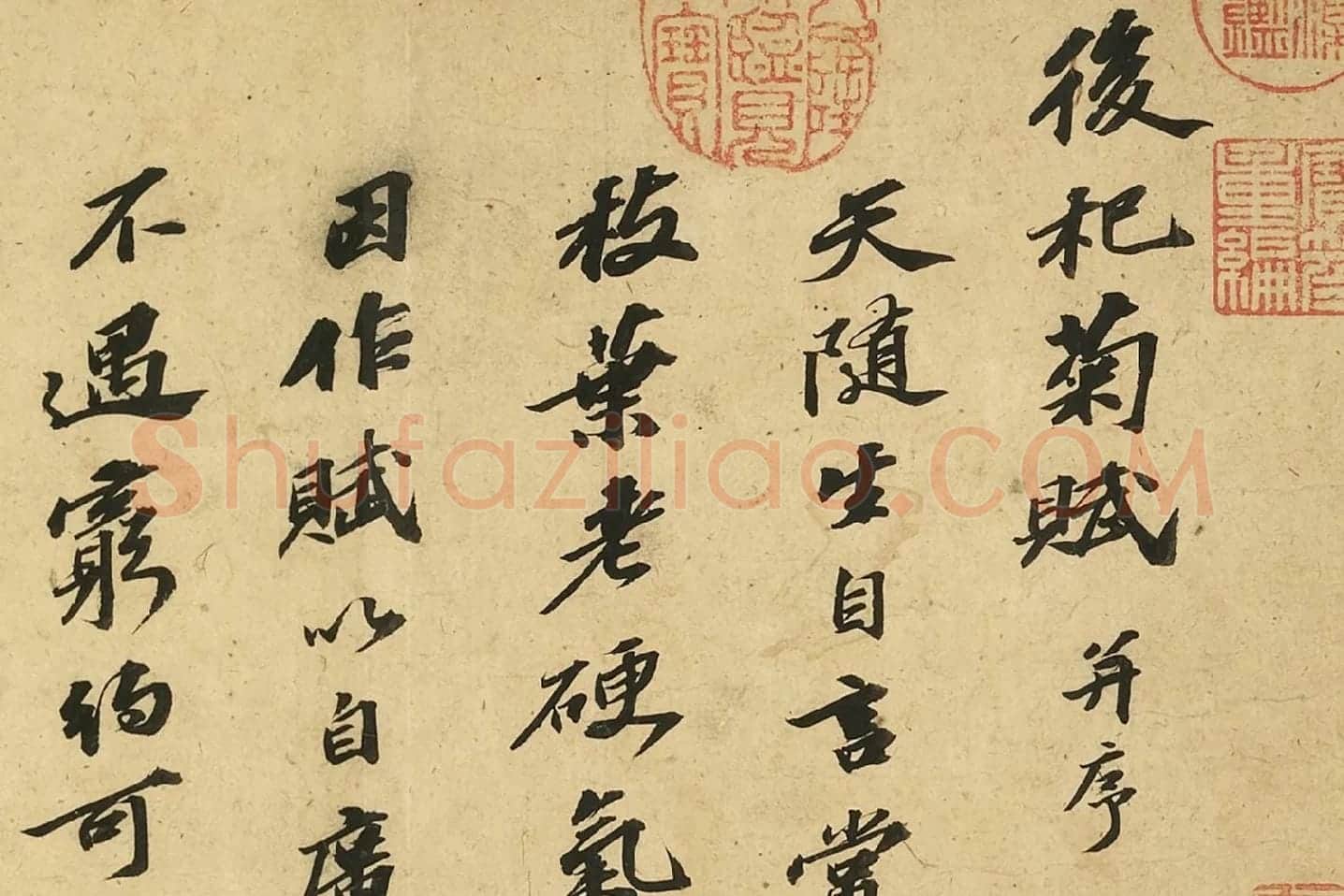 苏轼行书《自书后杞菊赋》局部 (1)
