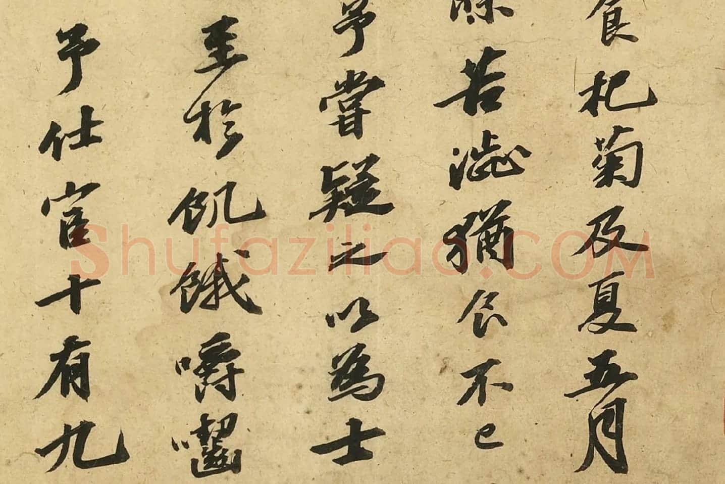 苏轼行书《自书后杞菊赋》局部 (2)