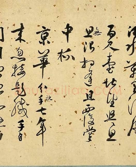 张弼《草书杂书卷》_11