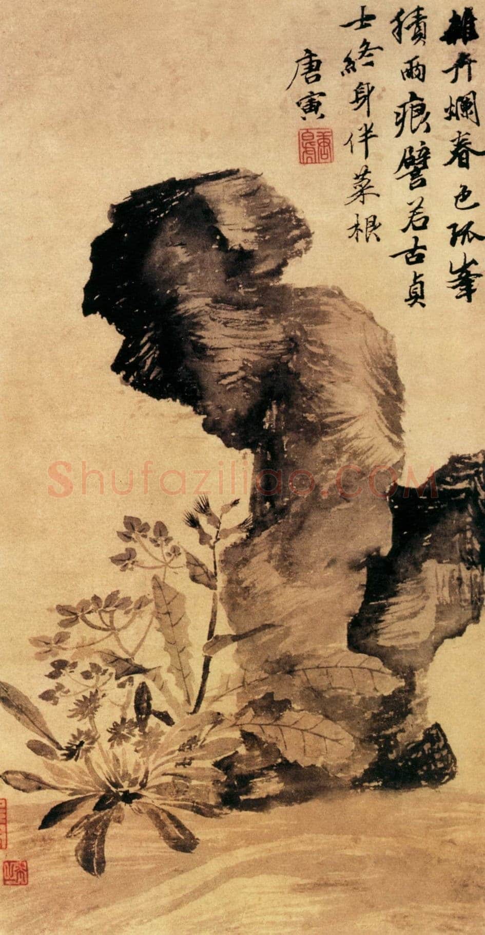 唐寅《立石丛卉图》立轴纸本水墨 纵52.6厘米 横28.6厘米 台北故宫博物院藏