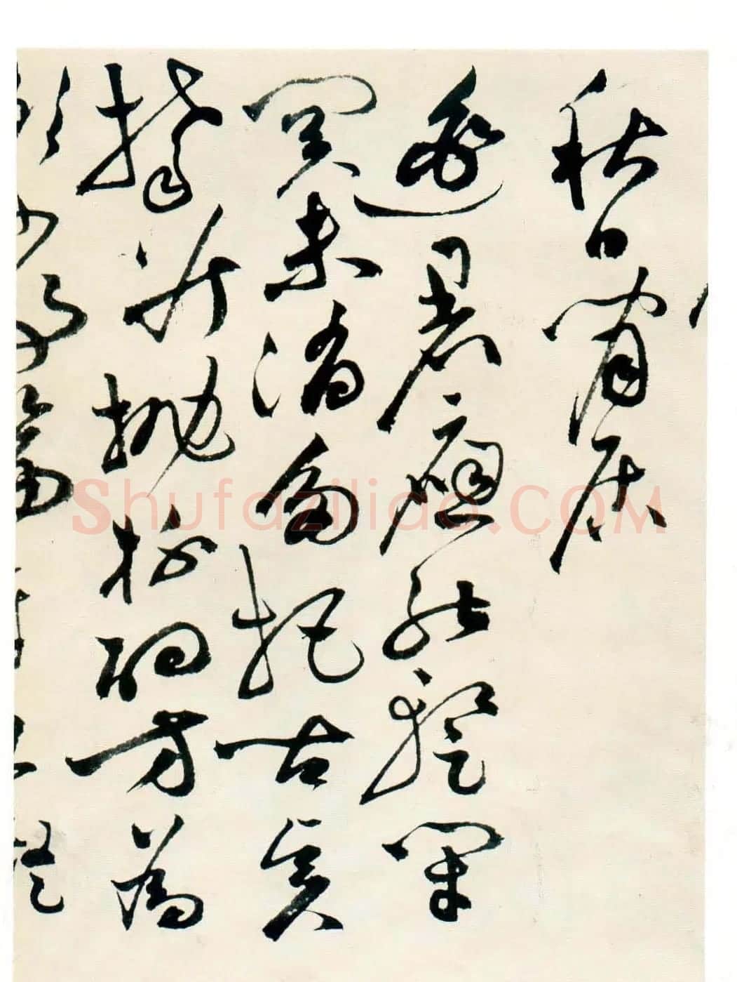 祝允明草书墨迹欣赏《自书诗卷》 | 名家书法作品赏析