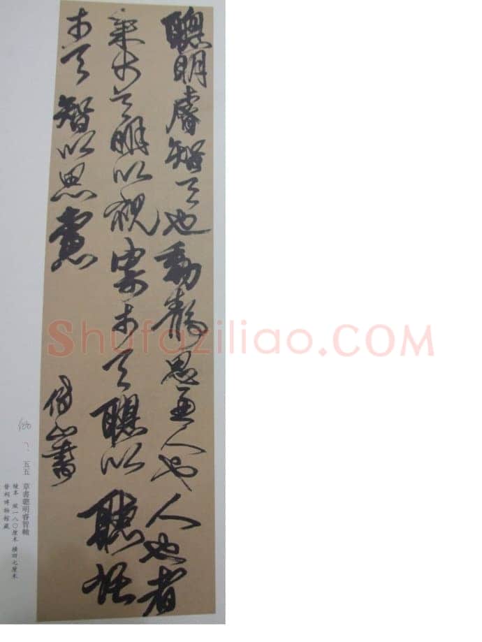 关于傅山书法中的伪作问题(作者:姚国瑾)