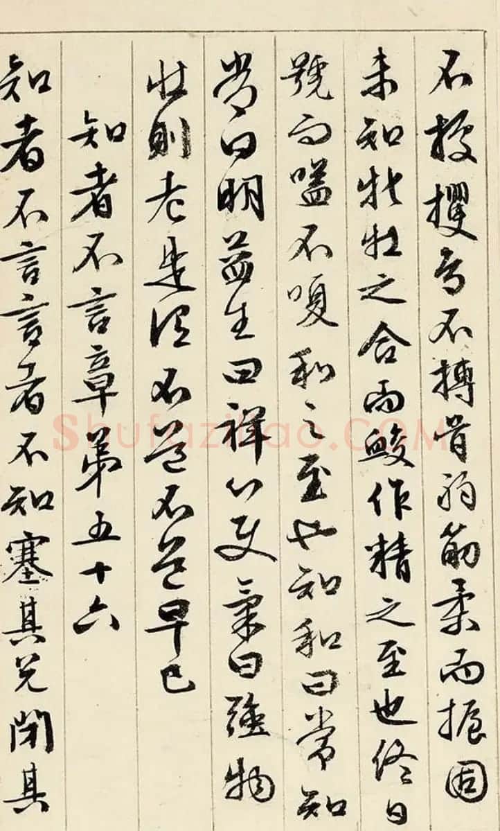 文徵明89岁行书《道德经》册页 | 毛笔书法作品