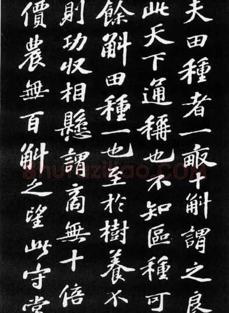 苏轼小楷欣赏《养生论》拓本 | 软笔书法作品