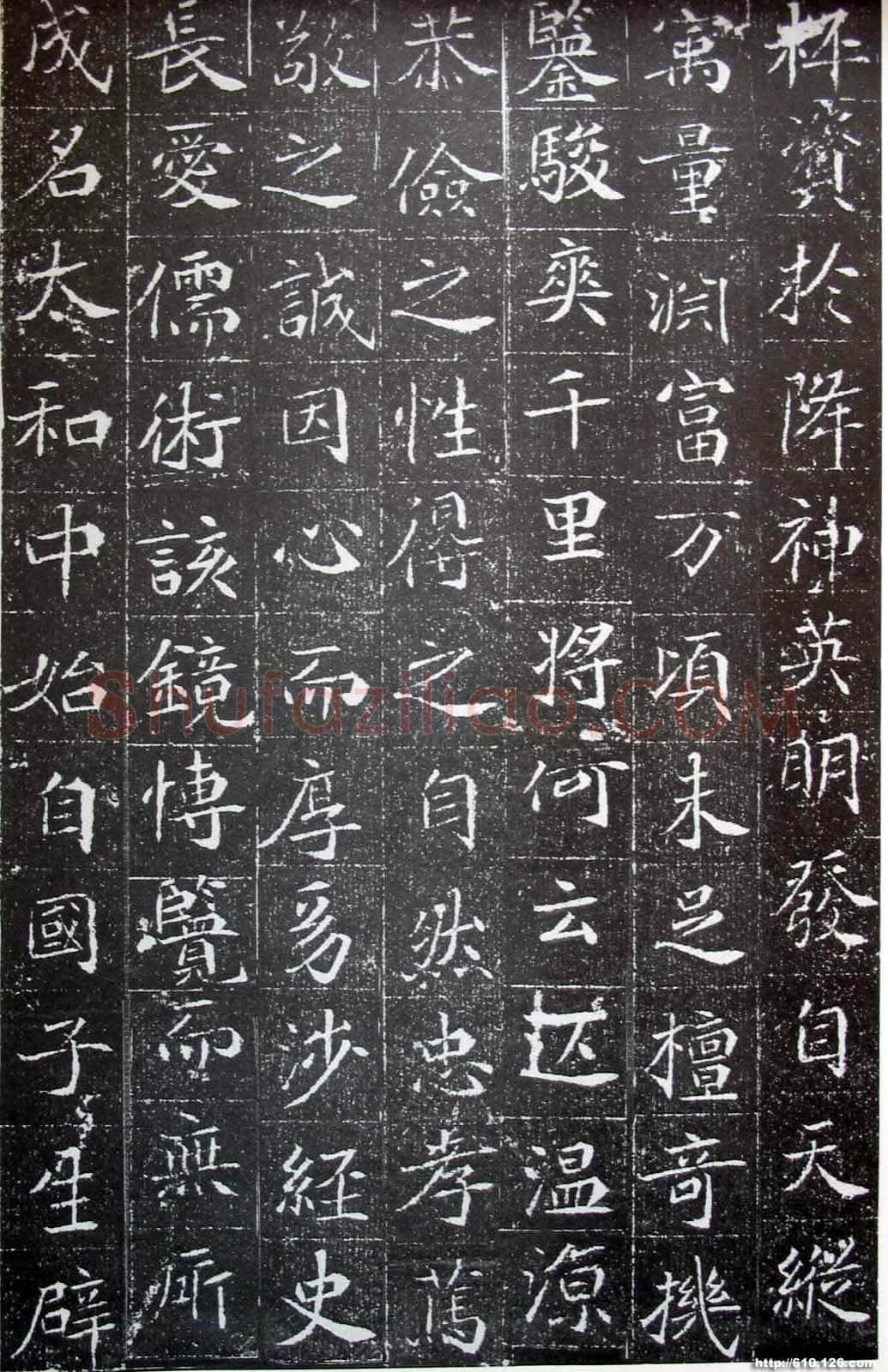 北魏元晖墓志前秦北朝碑刻碑拓,摘自前秦北朝元晖墓志(全本)