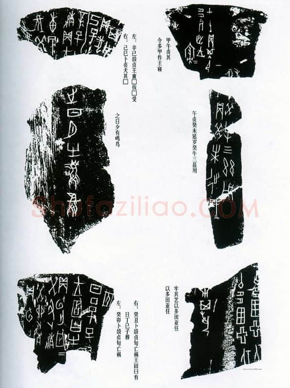 甲骨文拓片精选15甲骨文写法,摘自甲骨文拓片及其释文