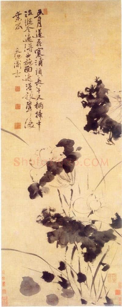 徐渭《五月莲花图》