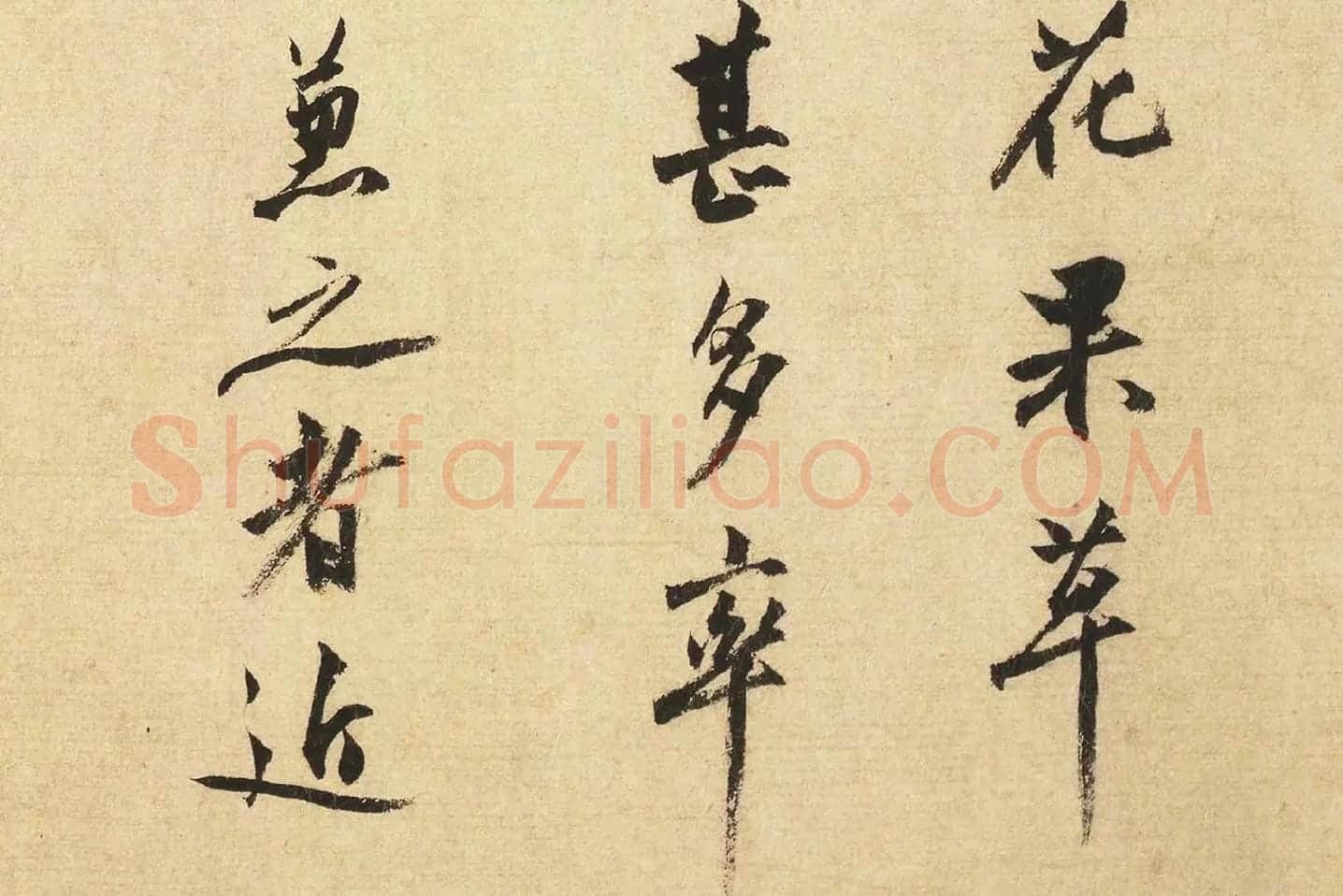 沈周行书书法《题跋法常水墨写生图》局部 (3)