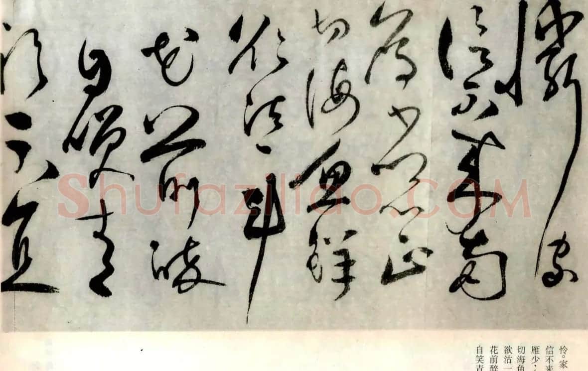 张弼草书欣赏《题水月轩手卷》 | 名家书法作品精选