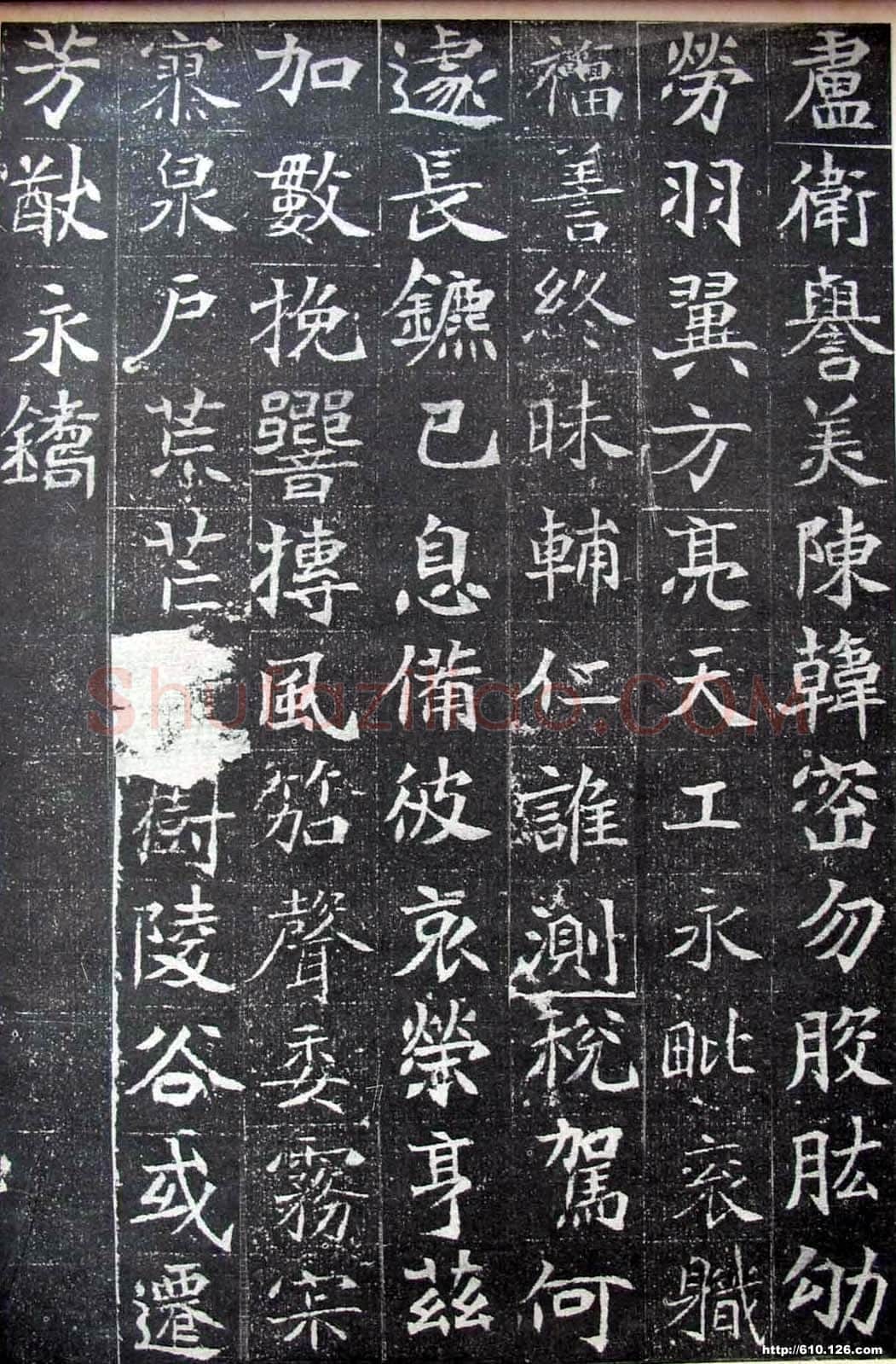北魏元晖墓志前秦北朝碑刻碑拓,摘自前秦北朝元晖墓志(全本)