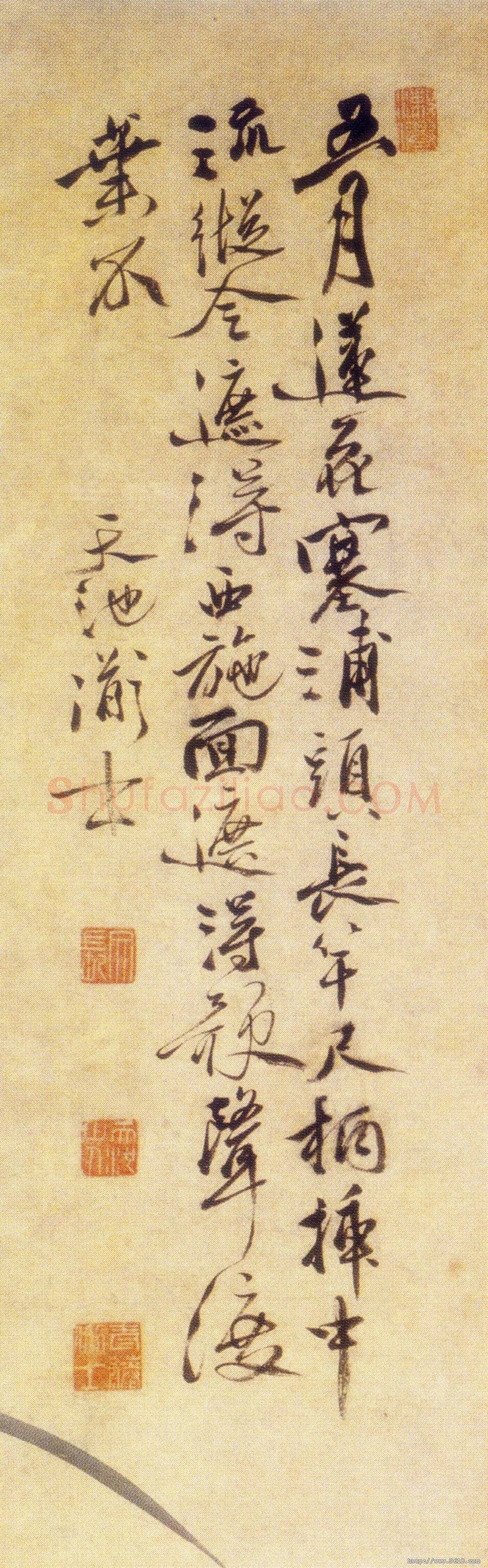 徐渭《五月莲花图》