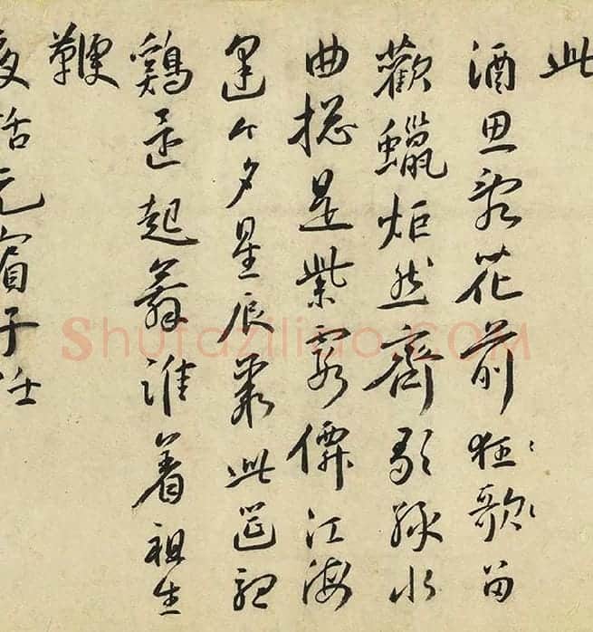 王宠行书《书杂诗卷》_12