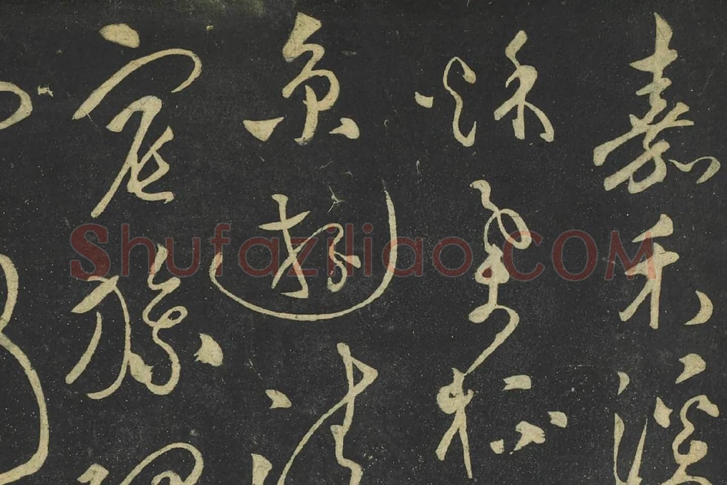 张弼草书《赠瑞卿诗帖》局部 (1)