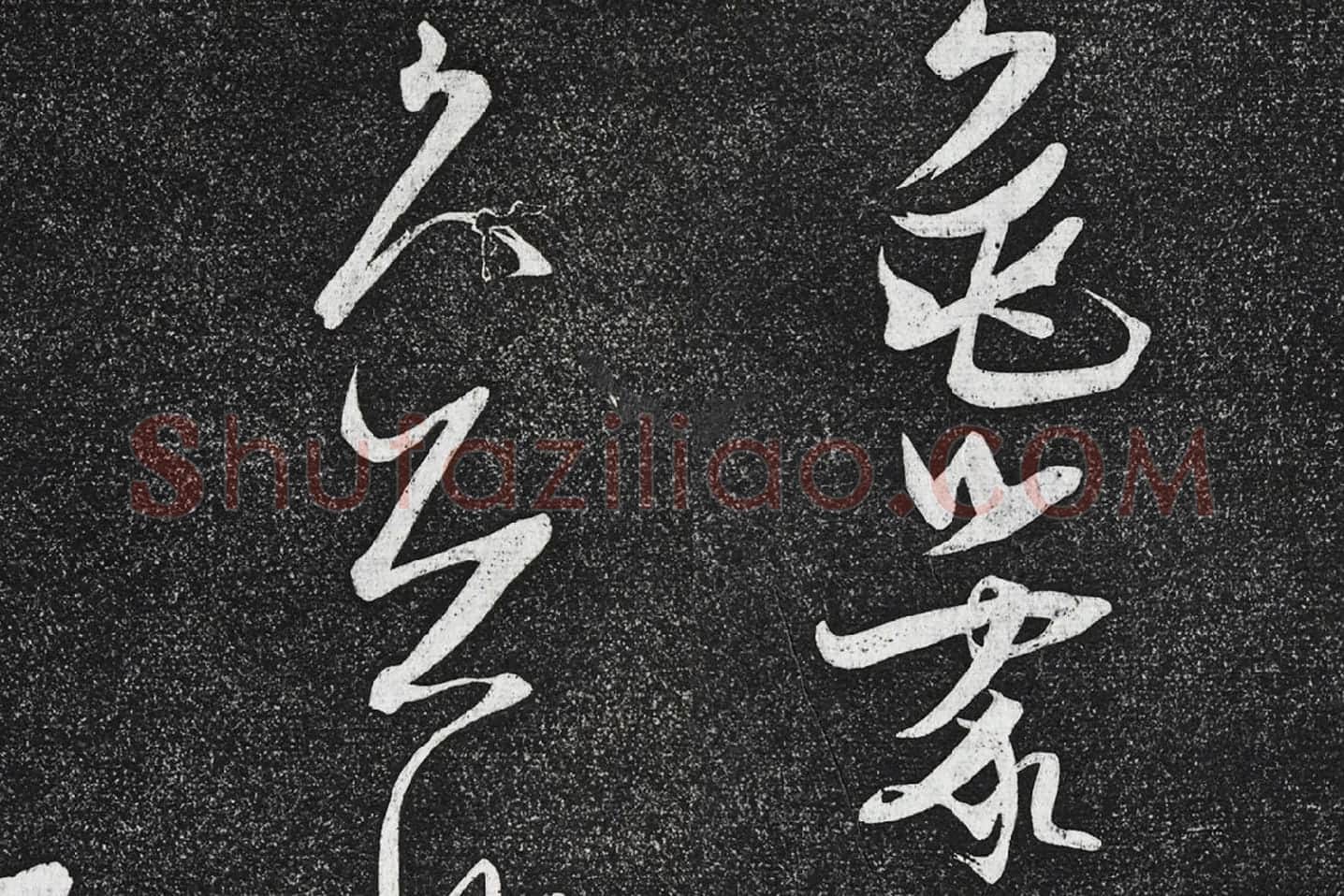 张瑞图《草书七言诗》局部 (4)